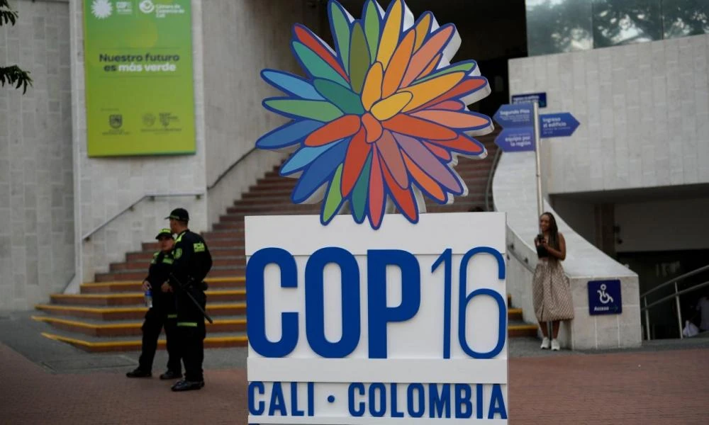 COP16: Τι είναι και ποιοι είναι οι στόχοι της - Οι ηγέτες των χωρών θα «λογοδοτήσουν»